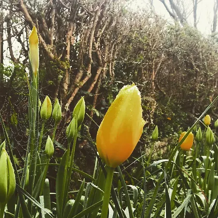 Heir Island House Bed & Breakfast