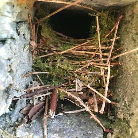 Heir Island House Bed & Breakfast 3*