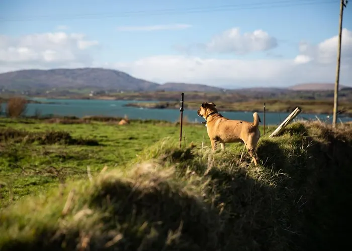 Heir Island House Bed & Breakfast