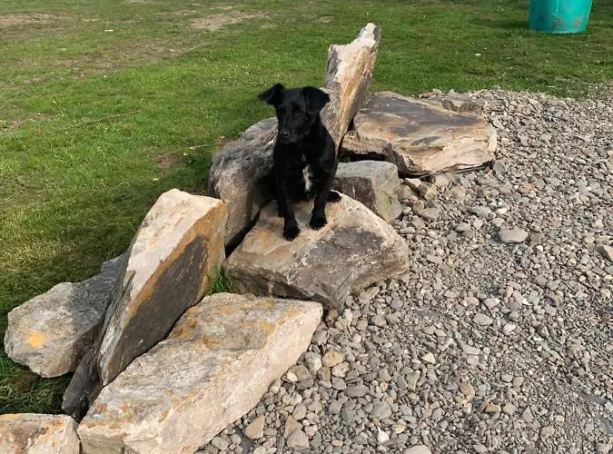 Heir Island House סקיברין